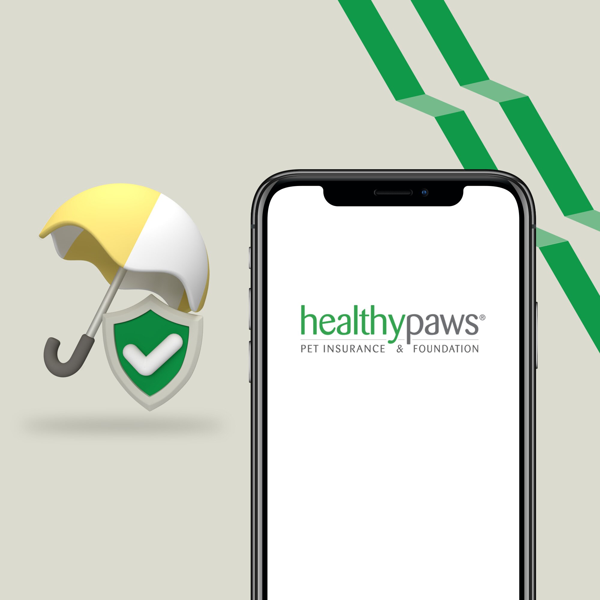 Healthy Paws Dental Coverage